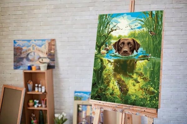 Malowanie Po Numerach Zestaw Pies w Rzece 40x50