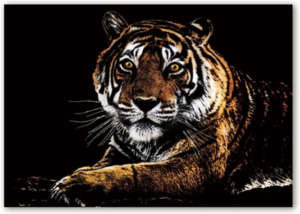 Magiczna Zdrapka Piękny Tygrys 40x28 cm 