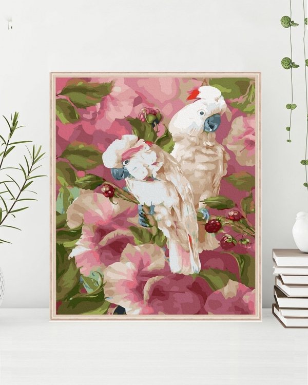 Malowanie Po Numerach Zestaw Papugi 40x50