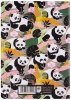 Zeszyt A5 32k. 3-linie kolorowe PP Panda Gang CoolPack 2024, Patio