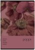 Zeszyt A5 60 k. kratka 70g Botany, Top-2000