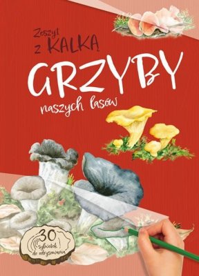 Grzyby naszych lasów. Zeszyt z kalką wyd. 2025