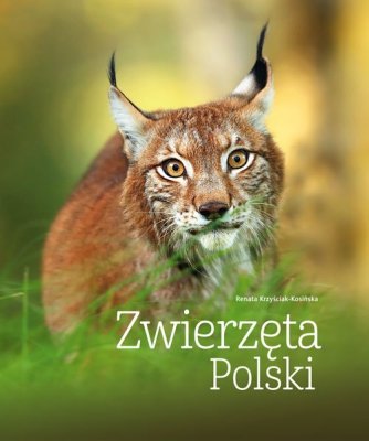 Zwierzęta Polski wyd. 2026
