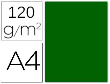 Karton A4 120 g/m2 Iris 29-Jasnozielony, Canson