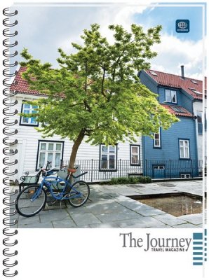 Kołonotes A4 100 k. kratka oprawa miękka, Interdruk