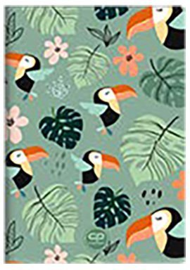 Zeszyt A5 60 k. linia PP Toucans CoolPack, Patio