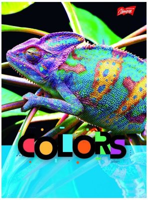 Zeszyt A5 32 k. kratka laminowany Exotic Colors, Unipap