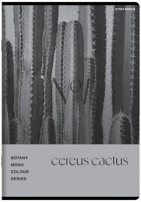 Zeszyt A5 60 k. kratka 70g Botany, Top-2000