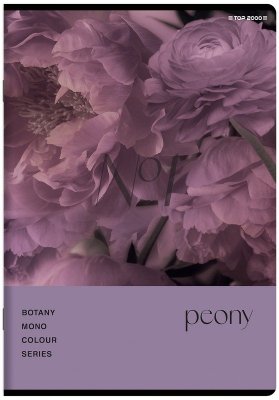 Zeszyt A5 96 k. kratka Botany, Top-2000