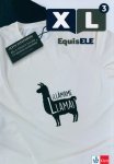 XL EquisELE 3. Podręcznik
