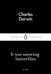 It Was Snowing Butterflies