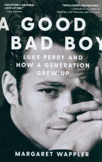A Good Bad Boy 