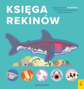 Księga rekinów Encyklopedia z folią