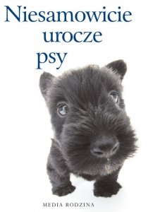Niesamowicie urocze psy