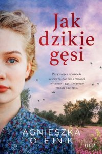 Jak dzikie gęsi (EBOOK)