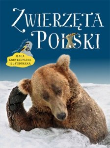 Zwierzęta Polski Mała encyklopedia ilustrowana