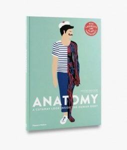 Anatomy