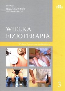 Wielka fizjoterapia. Tom 3