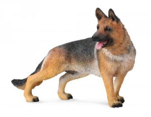 Pies Owczarek niemiecki L