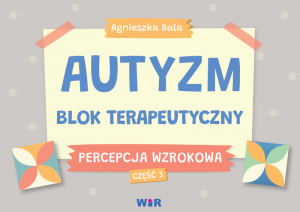 Autyzm blok terapeutyczny Percepcja wzrokowa część 3