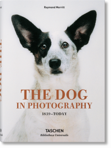 The Dog in Photography 1839-Today wer. angielska