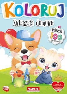 Koloruj. Zwierzęta domowe