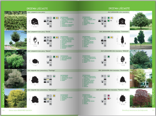 Zielone Miasto. Zieleń Przy Ulicach 
