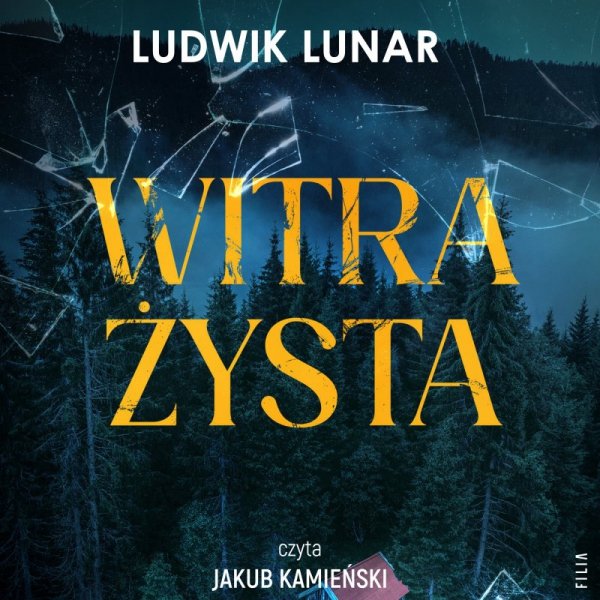 Witrażysta - audiobook
