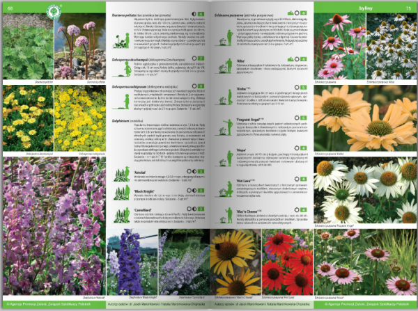 KATALOG BYLIN II Kwiaty, trawy i paprocie