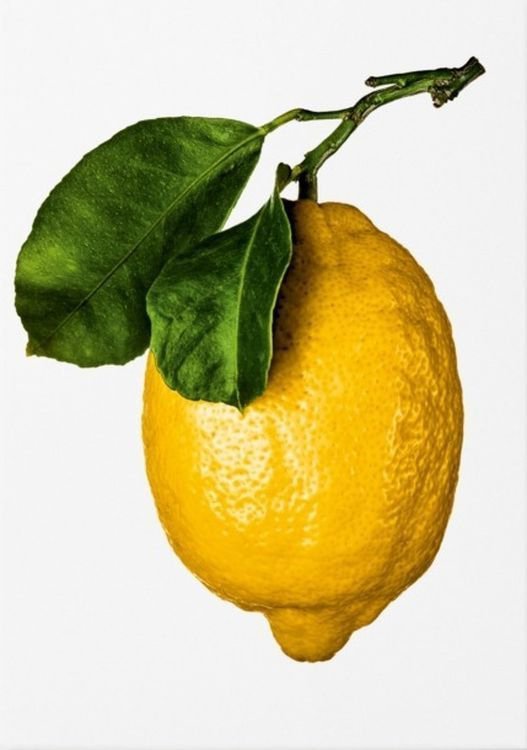The Gourmand's Lemon wer. angielska