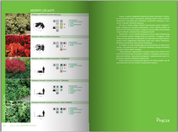 Zielone Miasto. Zieleń Przy Ulicach 