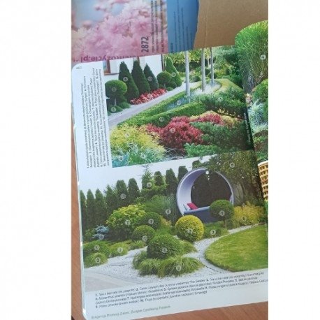 Katalog roślin 2024. Drzewa, krzewy, byliny - nowe wydanie