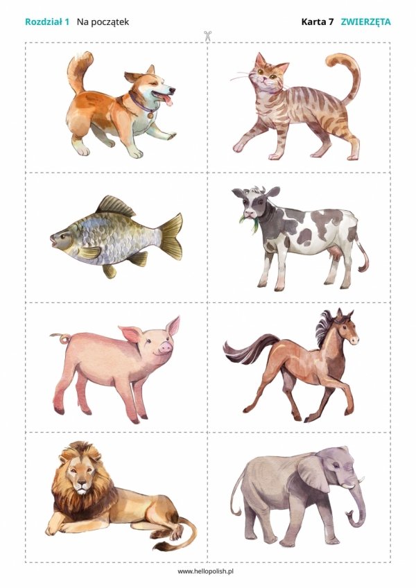 Pakiet dla dzieci polonijnych: Polski na czasie + Hop, do Polski!