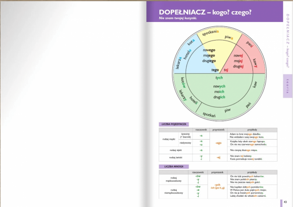 Gramatyka dla praktyka 1. Fleksja i słowotwórstwo (FLIPBOOK)