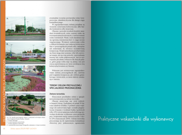 Zielone Miasto. Zieleń Przy Ulicach 