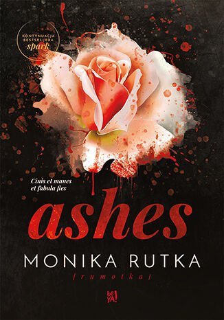 Ashes. The Chain. Tom 3