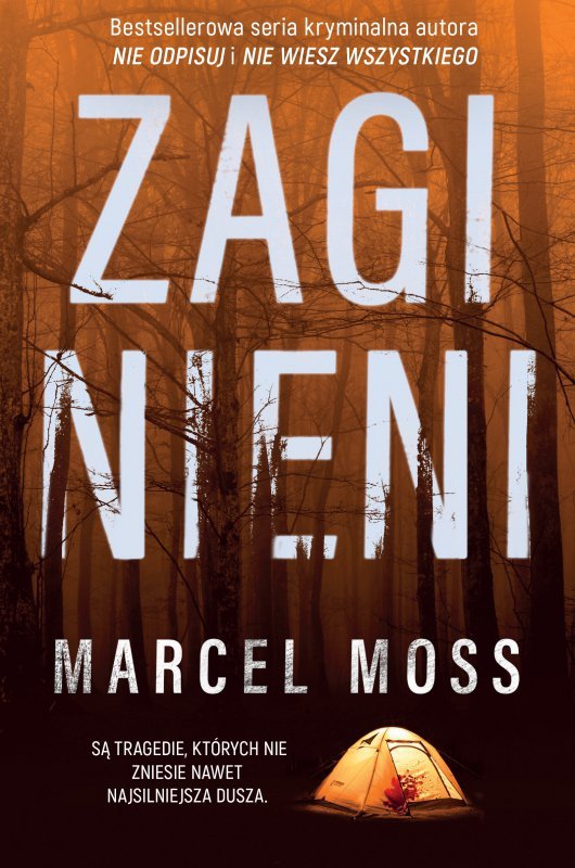 Zaginieni. Echo. Tom 2