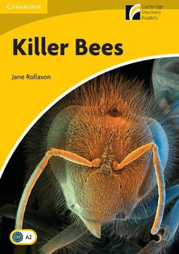 CERN 2 Killer Bees, Bk
