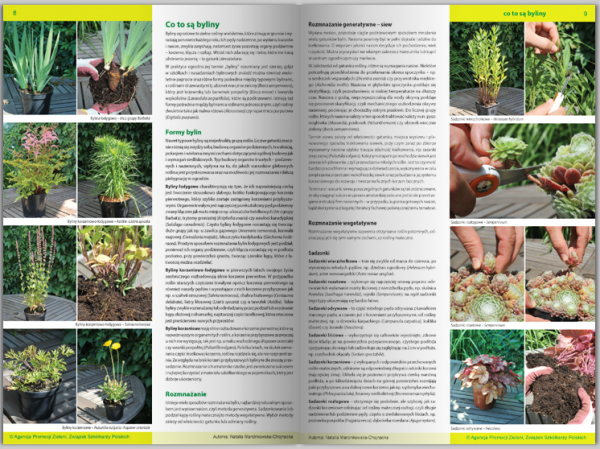 KATALOG BYLIN II Kwiaty, trawy i paprocie