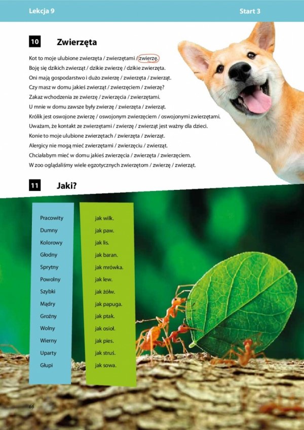 Zestaw START 3 Podręcznik Studenta + Zeszyt ćwiczeń