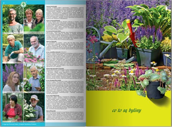 KATALOG BYLIN II Kwiaty, trawy i paprocie