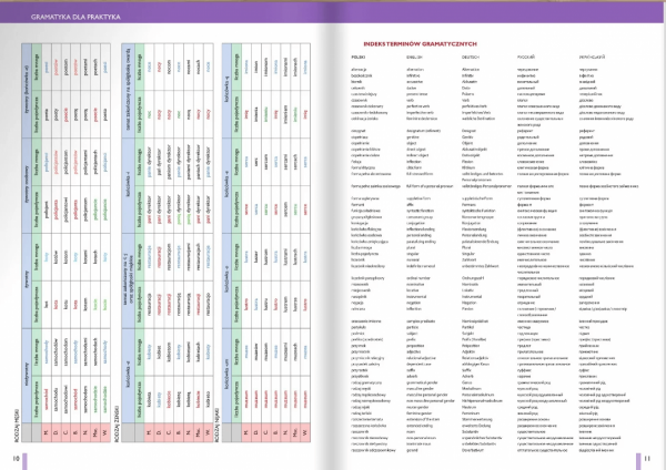 Gramatyka dla praktyka 1. Fleksja i słowotwórstwo (FLIPBOOK)