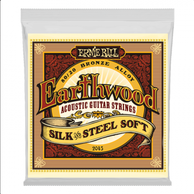 ERNIE BALL 2045
