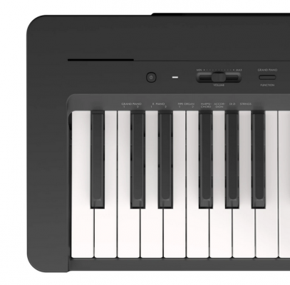 YAMAHA P-145B