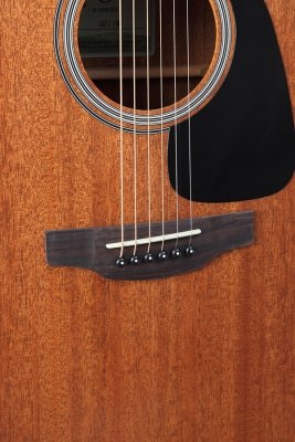 TAKAMINE GD11MS-NS