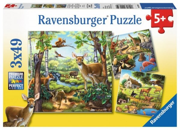 Puzzle 3x49 elementów - Zwierzęta