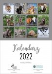 Jelonkowy Kalendarz 2022