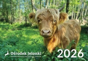 Kalendarz trójdzielny 2026 - #6 