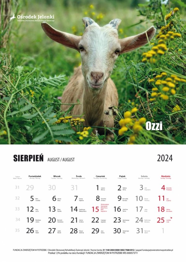 Kalendarz ścienny 2024