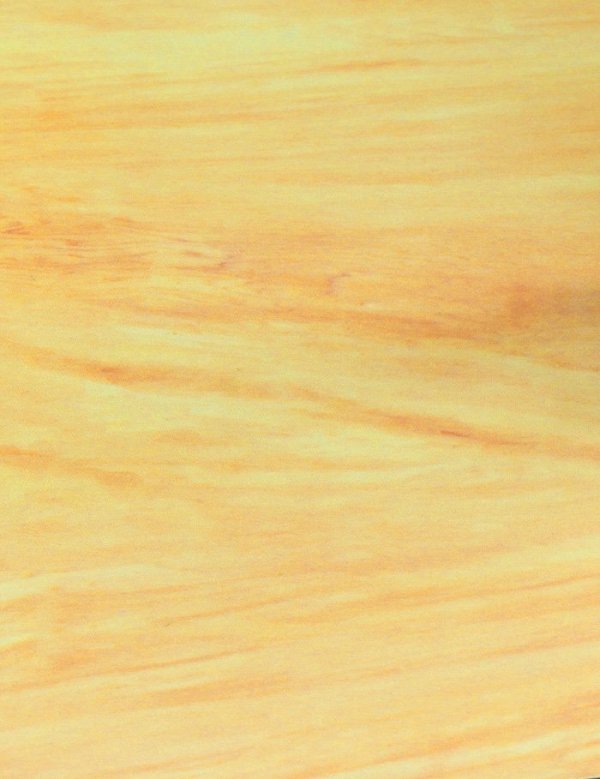 Hasegawa TF944-71944 Wood Finish (Maple)